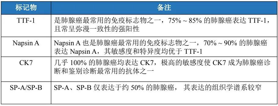 肺癌2.jpg