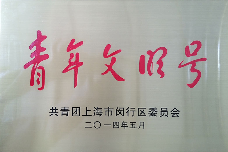 2014年共青团上海市闵行区委员会颁发“青年文明号”.jpg