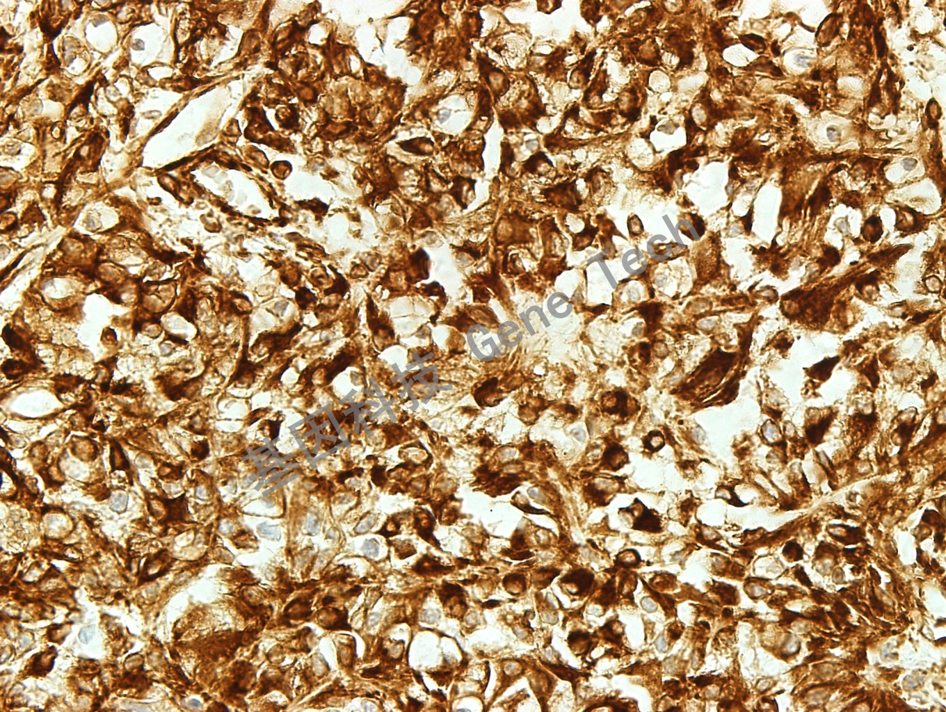 1679546426201184.jpg