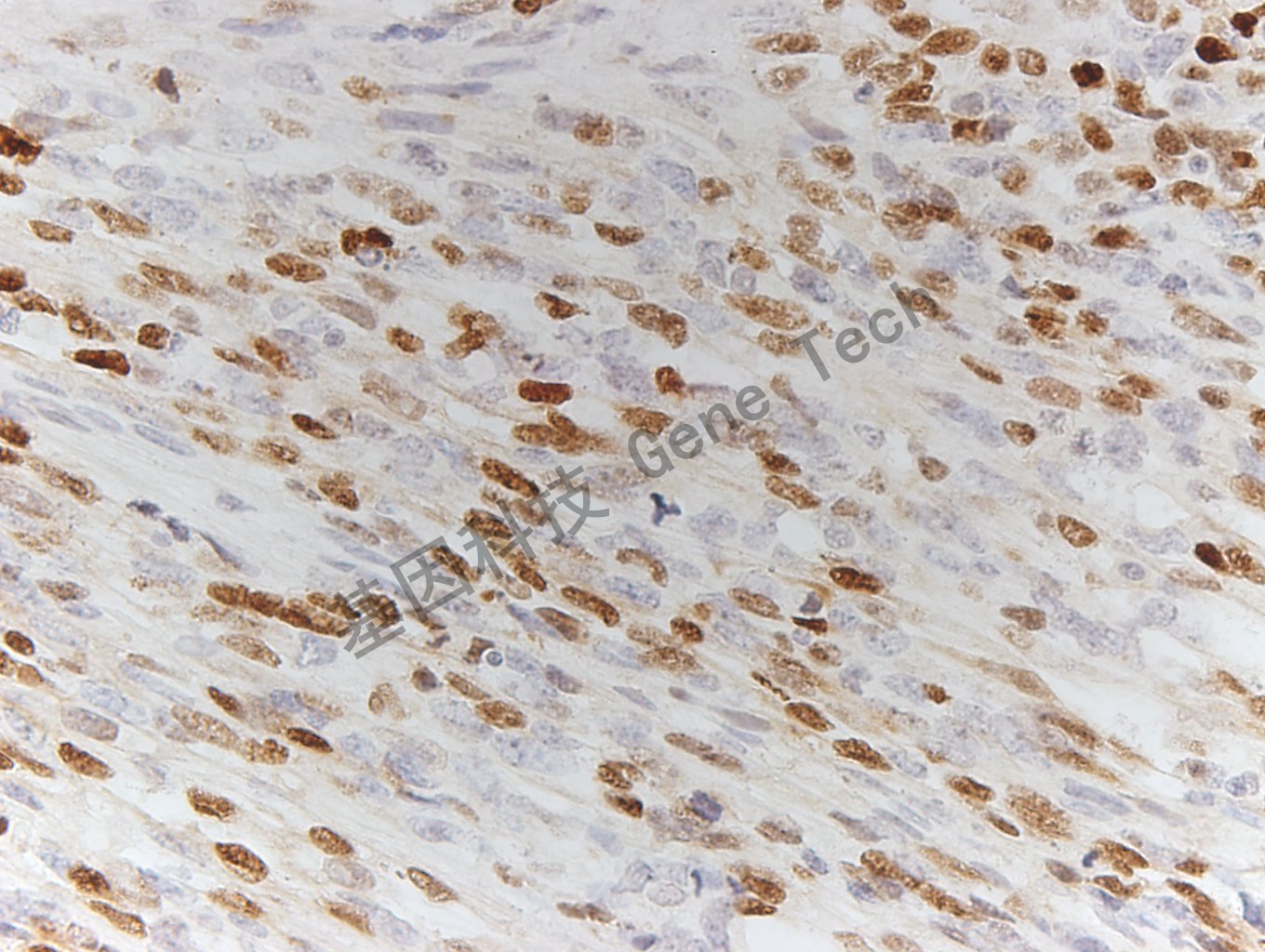 1683510318104845.jpg